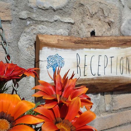 La Locanda Dell'Olmo Орв'єто Екстер'єр фото
