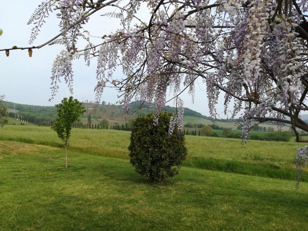 La Locanda Dell'Olmo Орв'єто Екстер'єр фото