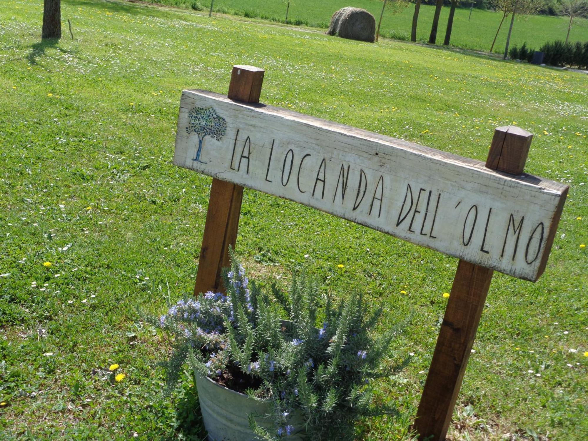 La Locanda Dell'Olmo Орв'єто Екстер'єр фото